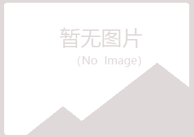 长春字迹能源有限公司